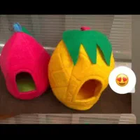 وسایل پرنده موجوده|پرنده|شیراز, وصال|دیوار