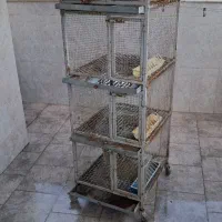 قفس.جفت کن.