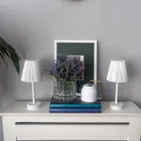 ۲ عدد آباژور نو با کیفیت عالی