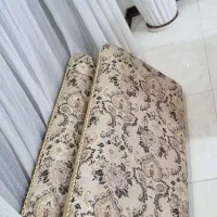 یک جفت پشتی سالم