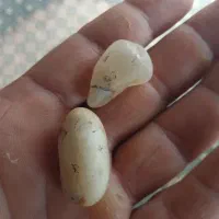 سنگ قیمتی
