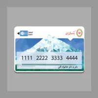 کارت گمشده به نام فاطمه نیکوکار