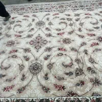 .فرش 1000شانه تراکم ۳۰۰۰رسید.|فرش|زاهدان, |دیوار