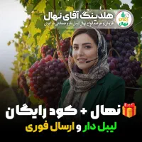 فروش انواع نهال انگور رقم پربار اصلاح شده ی خارجی