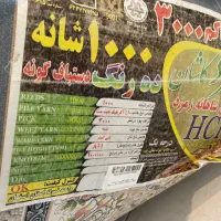 فرش ماشینی ۹ متری ویک در یک و نیم  ست|فرش|تهران, آهنگ|دیوار