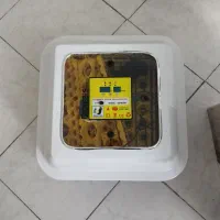 دستگاه جوجه کشی