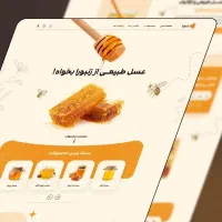 طراحی سایت با علی صفری|خدمات رایانه‌ای و موبایل|شیراز, ملاصدرا|دیوار