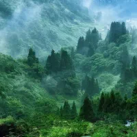 استخدام خانم جهت سرایداری