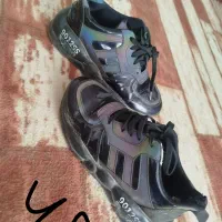 کفش|کیف، کفش، کمربند|خوی, |دیوار