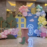 فروش بک گراند و ملزومات تولد به علت تغییر شغل|خدمات پذیرایی، مراسم|تهران, نارمک|دیوار