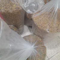 غذای خشک حمایتی سگ