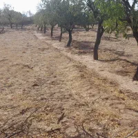 زمین روستای آقابزرگی|فروش زمین و ملک کلنگی|نیر (یزد), |دیوار