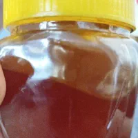 عسل طبیعی|خوردنی و آشامیدنی|تهران, منیریه|دیوار