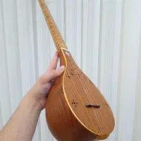 سه تار کاسه یک تکه مهر مسعود