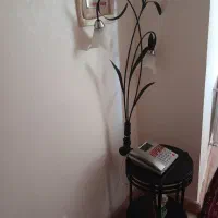 آباژور ایستاده