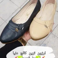 بدلیل تغیرشغل کلیه اجناس مغازه یکجا واگذارمیشود|کیف، کفش، کمربند|آران و بیدگل, |دیوار