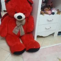 خرس شاسخین قرمز