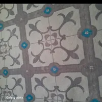 موکت نو