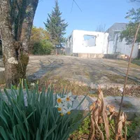 ۳۴۷مترزمین بابنای کلنگی وانشعابات ساحلی سندتک برگ