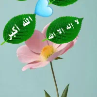 راهنمایی کنید