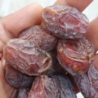 خرمای کشتی هلیله