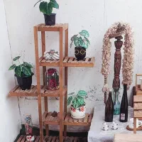 استند گل
