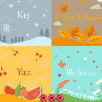 آموزش زبان ترکی استانبولی آنلاین خصوصی گروهی|خدمات آموزشی|تهران, سعادت‌آباد|دیوار