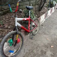 دوچرخه 20|دوچرخه، اسکیت، اسکوتر|چوبر, |دیوار