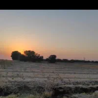 زمین مناسب باغ و ویلا باغ متری یک میلیون و سیصد