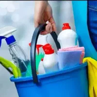 نظافتچی راپله. نظافتچی منازل