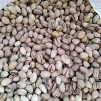 پسته اکبری کیلویی ۹۰۰