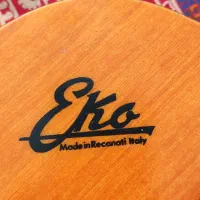 گیتار آکوستیک Eko ایتالیایی|گیتار، بیس، امپلیفایر|اصفهان, جلفا|دیوار