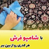 شامپو فرش و مبل نانو|مواد شوینده و دستمال کاغذی|تبریز, |دیوار
