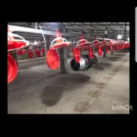 فروش مرغداری نکا|فروش دفتر صنعتی، کشاورزی، تجاری|نکا, |دیوار