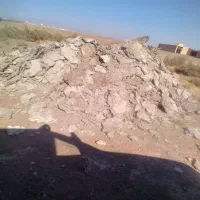 کود یا بار بوقلمون|خدمات باغبانی و درختکاری|سبزوار, قصبه غربی|دیوار