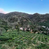 زمین ۱۰۰۰ متری با پروانه ساخت|فروش زمین و ملک کلنگی|لاهیجان, لیل|دیوار