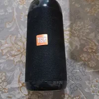 اسپیکر پلولوتوث دار