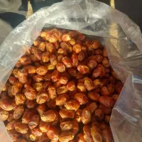 خرمای زاهدی آبادان