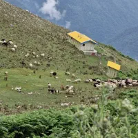 فروش-زمین-در-چشمه-شولی-کودیان