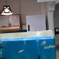آکواریوم ماهی کوی