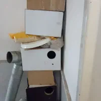 لانه تخم گذاری عروس و کوتوله