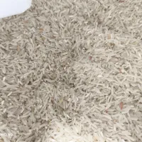 برنج فجر سوزنی|خوردنی و آشامیدنی|مزرعه کتول, |دیوار