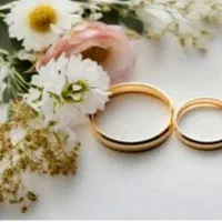 تخصصی آماده ب ضامن ها رو ب ما بسپارید ..