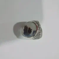 رکاب شبکه  نگین شجر