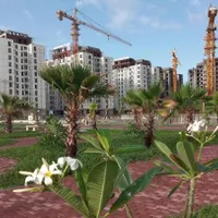 نیک ترابر فاز 4