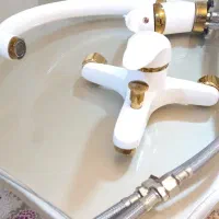 شیرالات آرکام