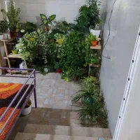 خانه ویلایی 160 متری|فروش خانه و ویلا|کاشمر, |دیوار