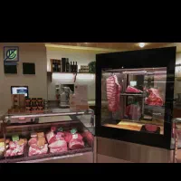 استخدام نیروی ماهر ونیروی نیمه ماهر قصابی