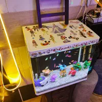 آکواریوم شرکتی کارتونی همراه ماهی|ماهی|تبریز, |دیوار