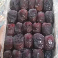 خرما کارتنی